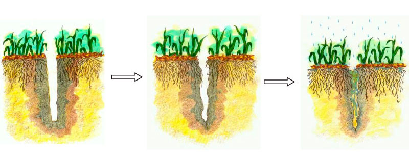 organic_mm_grass_chart_800