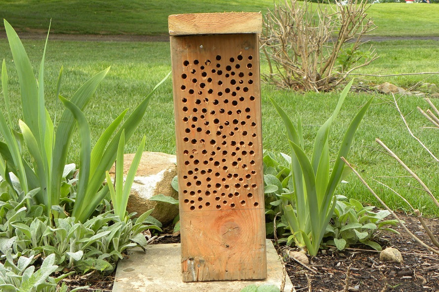 Pollinator nest boxes